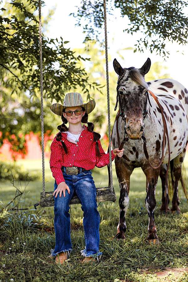 chestnut-leopard-appaloosa-pony