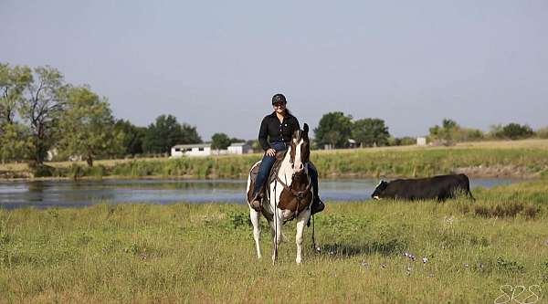 beginner-safe-quarter-pony