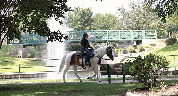 athletic-quarter-pony