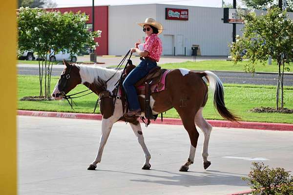 kid-safe-quarter-horse