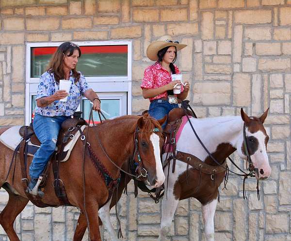 ranch-quarter-horse