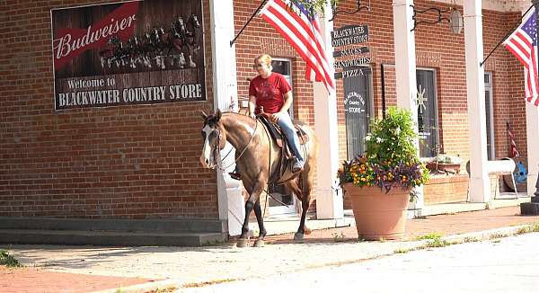 ranch-work-quarter-horse