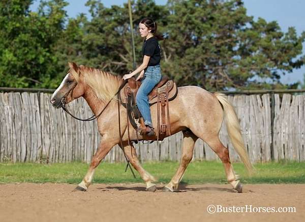 blaze-horse