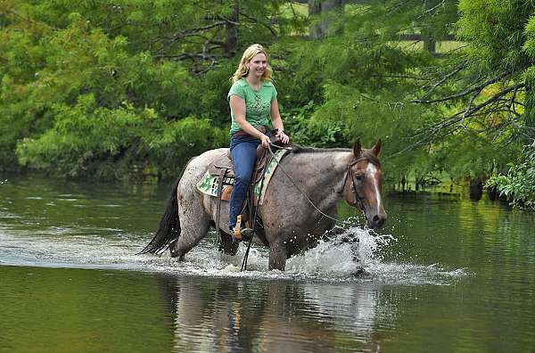 trail-riding-quarter-pony