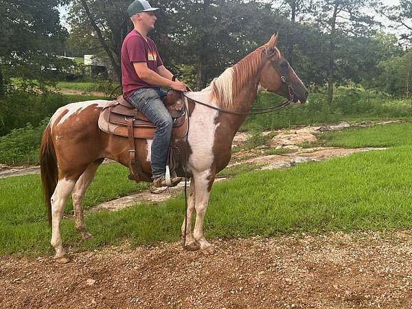 red-white-horse