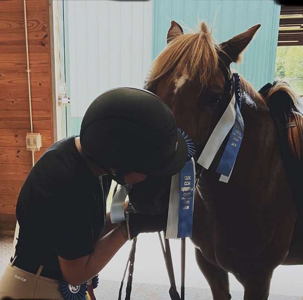 chestnut-white-shocks-star-pony