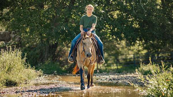 lesson-quarter-horse