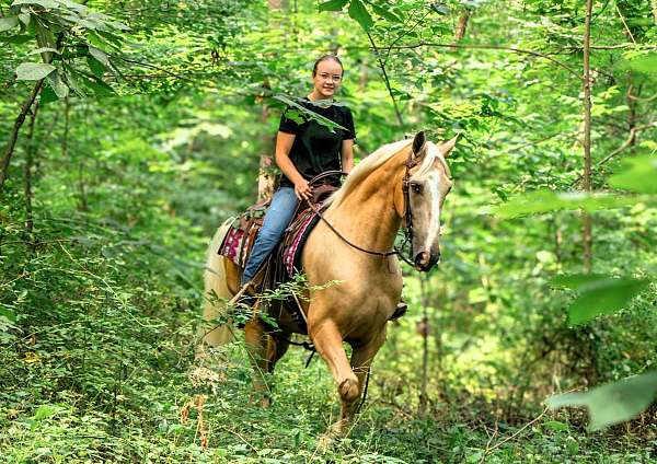 husband-safe-tennessee-walking-horse