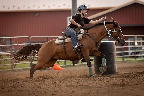 mustang-mare