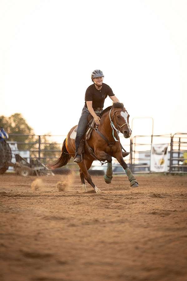 all-around-mustang-horse