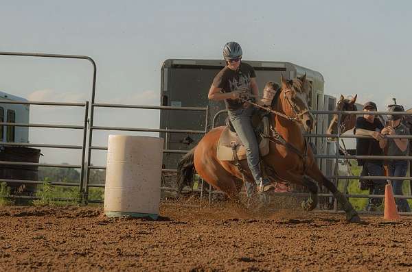 barrels-mustang-horse