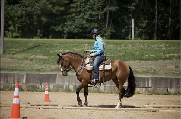 barrels-mustang-horse