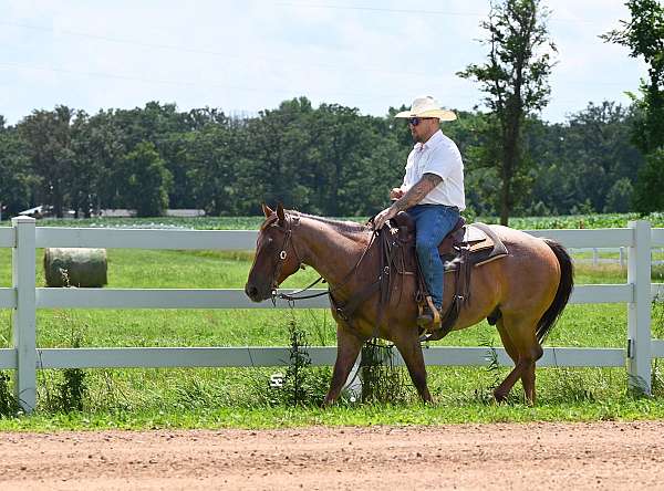 heading-quarter-horse