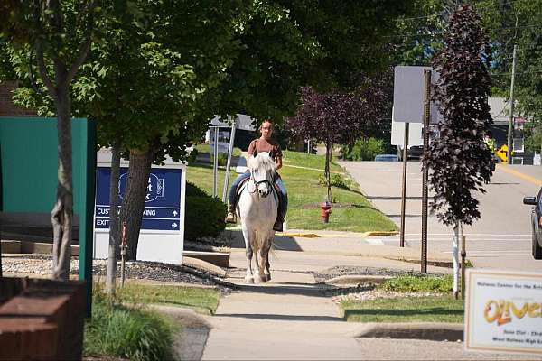 ridden-western-welsh-pony