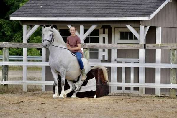 trail-riding-welsh-pony