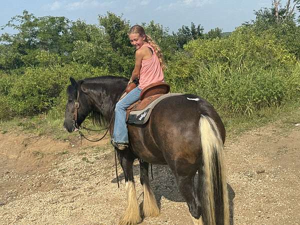 kid-safe-gypsy-vanner-horse