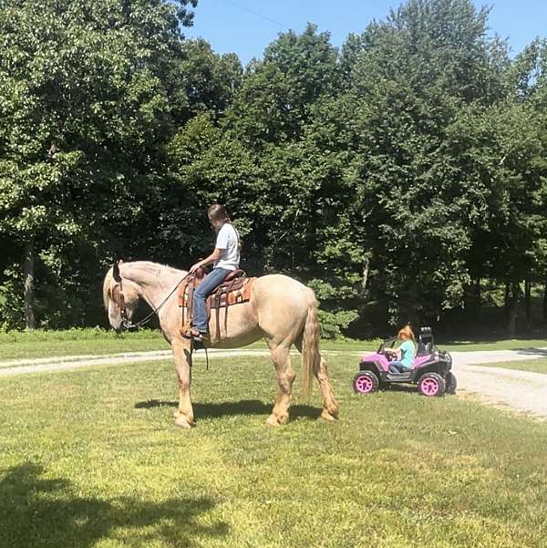 kid-safe-draft-horse