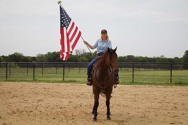 athletic-quarter-horse