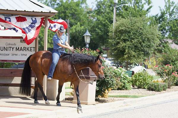 ranch-versatility-quarter-horse