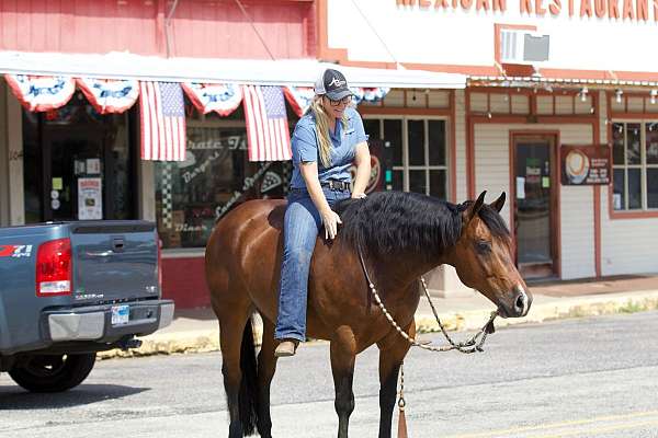 ranch-work-quarter-horse