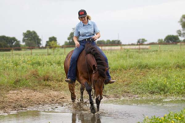 ridden-western-quarter-horse