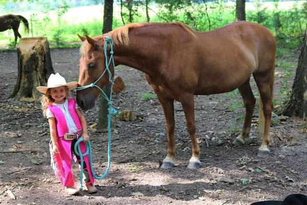 all-around-quarter-pony