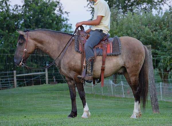 trail-riding-quarter-horse