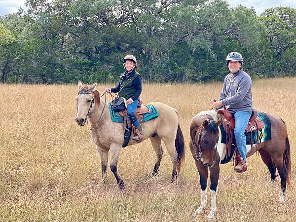 barrel-racing-quarter-horse