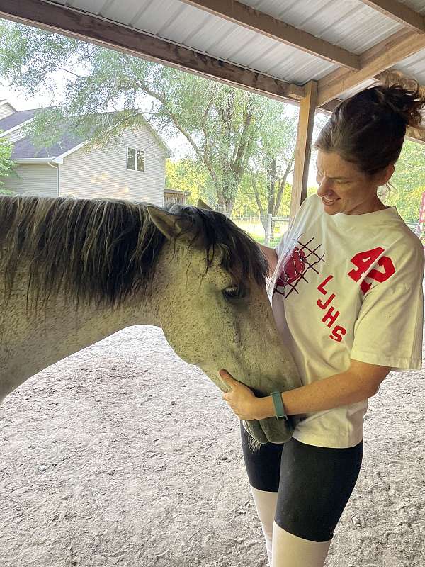 trail-trail-riding-tennessee-walking-pony