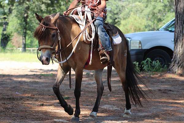 ranch-work-quarter-pony