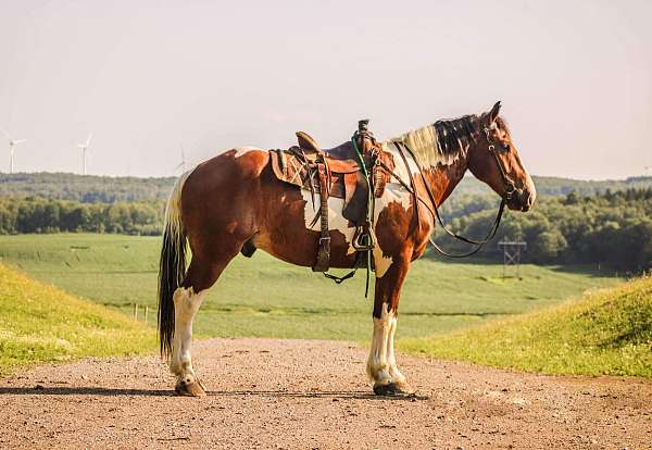 chestnut-blaze-horse