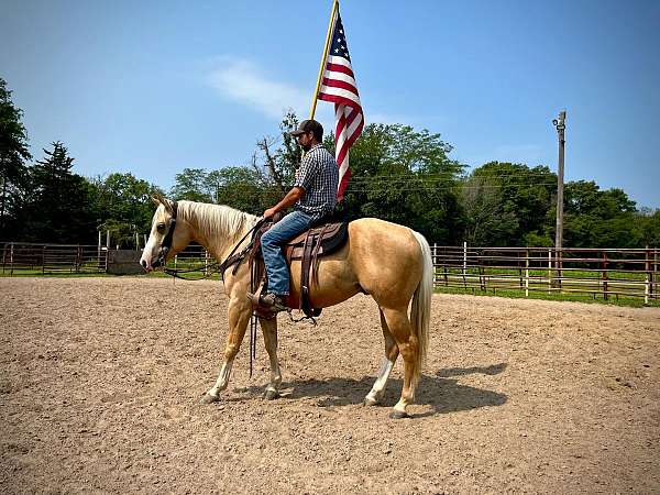 family-horse-quarter