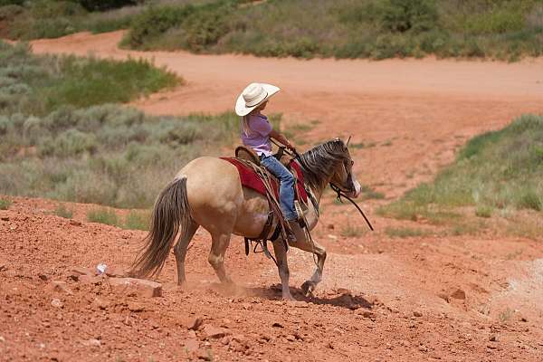 flashy-quarter-horse