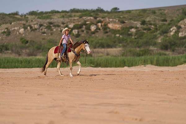 ranch-versatility-quarter-horse