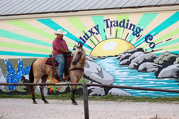 family-horse-quarter