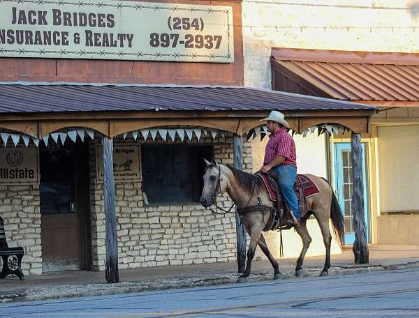 trail-quarter-horse