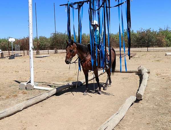 ranch-work-quarter-horse