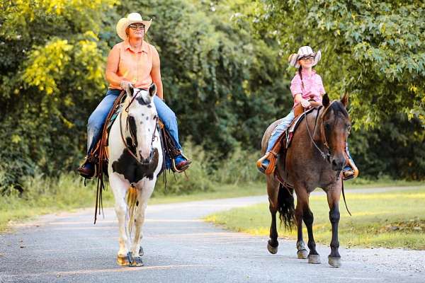 trail-quarter-horse