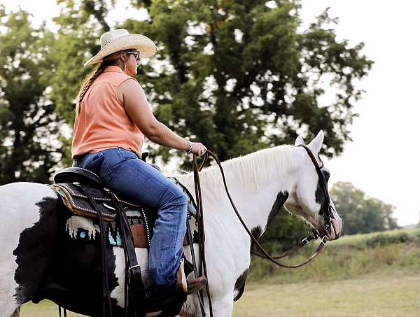 all-around-quarter-horse