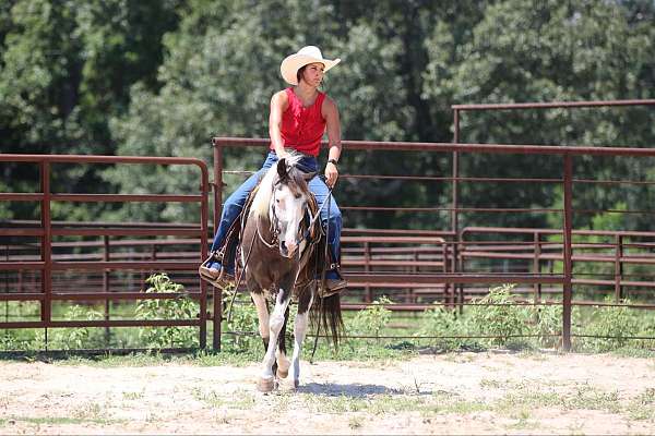 ranch-work-quarter-horse