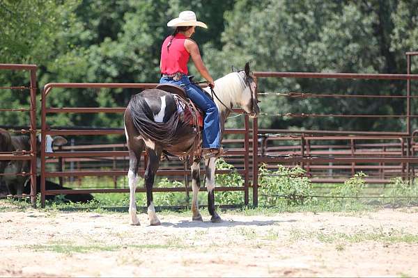 family-horse-quarter