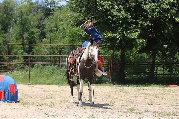 athletic-quarter-horse