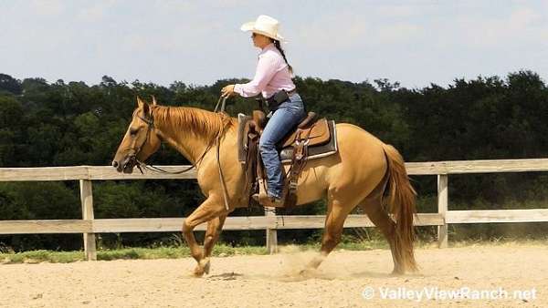 trail-riding-quarter-horse