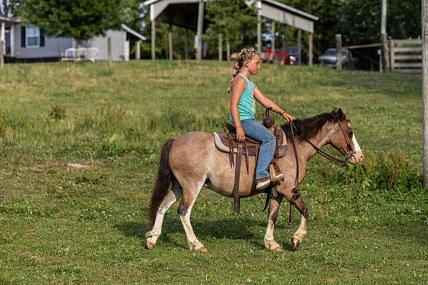 trail-riding-pony