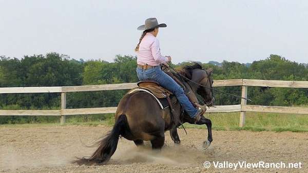 ranch-versatility-quarter-horse