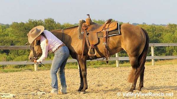 ranch-work-quarter-horse