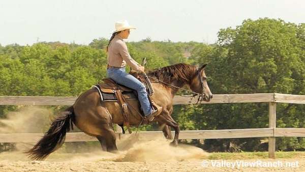 trail-riding-quarter-horse