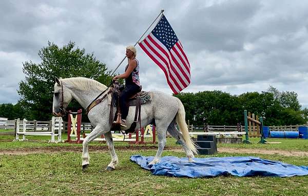 ranch-percheron-horse