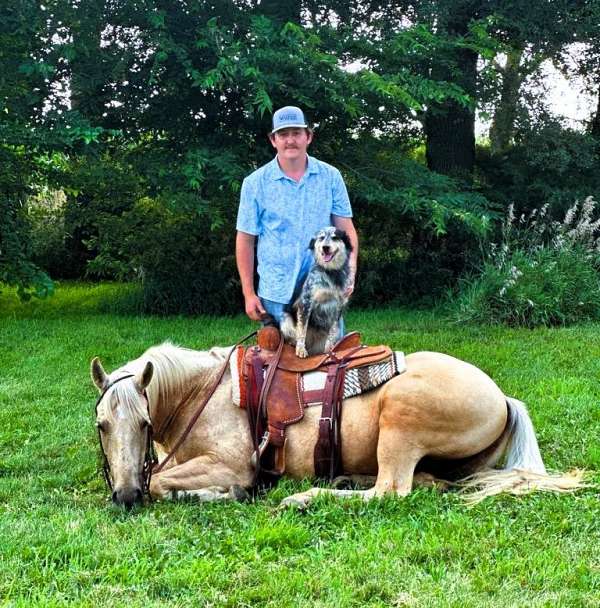 ranch-quarter-horse