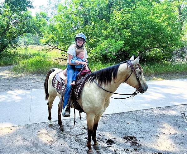 family-quarter-horse